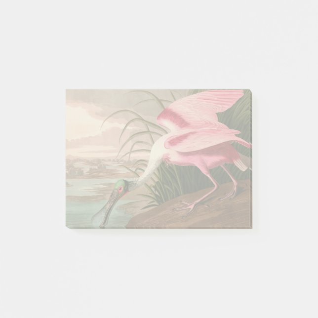 Bloco Post-it Roseate Spoonbill Audubon Bird Willife (Frente)
