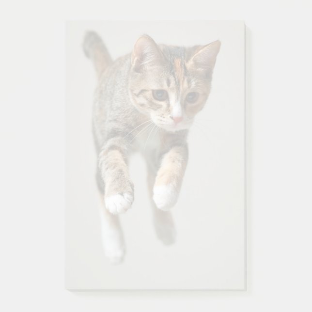 Bloco Post-it Salto do gato de chita (Frente)