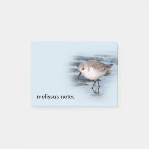 Bloco Post-it Sanderling pequeno bonito na praia