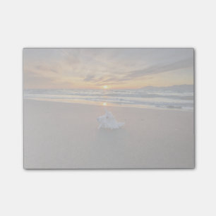 Bloco Post-it Shell na praia na ilha do por do sol Kos