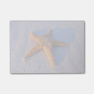 Bloco Post-it Starfish Na Areia Branca