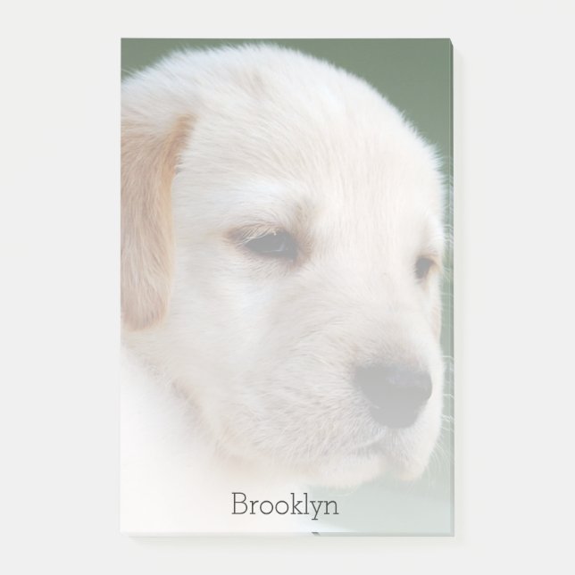 Bloco Post-it Sua foto automaticamente desvanece-se gradualmente (Frente)