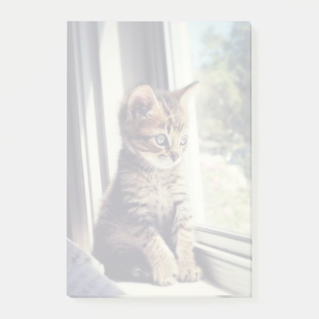 Bloco Post-it Tabby Kitten Assistindo (Frente)