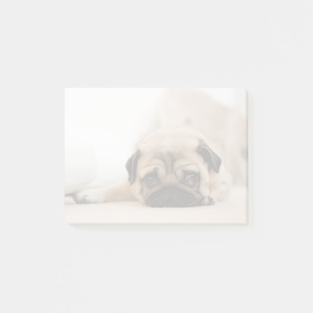 Bloco Post-it Tan Female Pug (Frente)