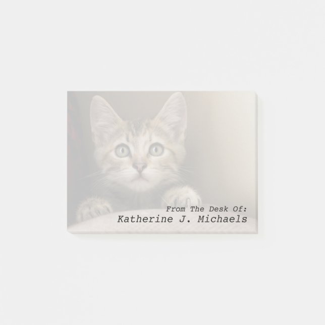 Bloco Post-it Um gatinho muito doce do gato malhado (Frente)