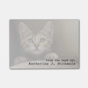 Bloco Post-it Um gatinho muito doce do gato malhado