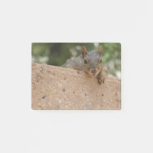 Um Nut (Nota) para você Postar-