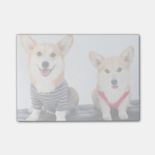 Bloco Post-it Um par de Corgis que sentam-se em um banco