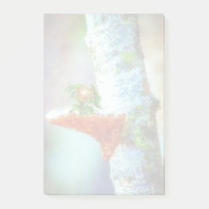 Bloco Post-it Um Pequeno Dragão Dorme