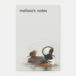 Bloco Post-it Uma reunião de mergansos encapuçados