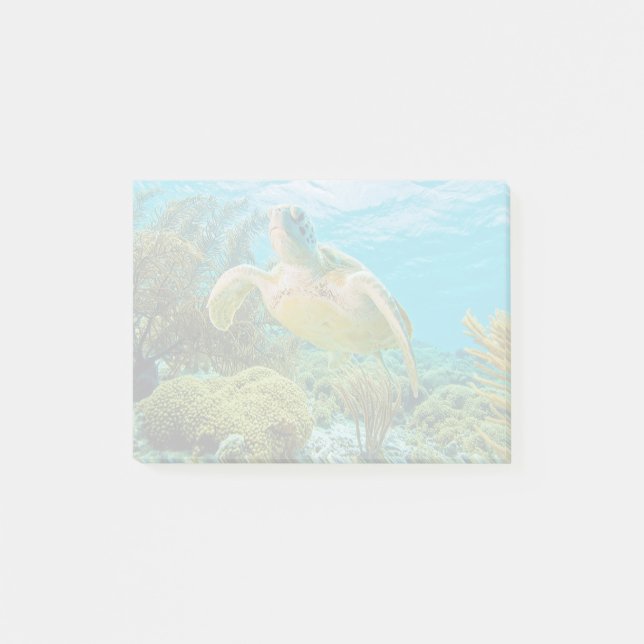 Bloco Post-it Uma Tartaruga Verde Sobre Os Recifes De Bonaire (Frente)