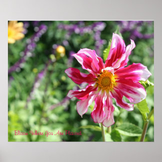 Blogue Onde Você Está Plantado Com Poster