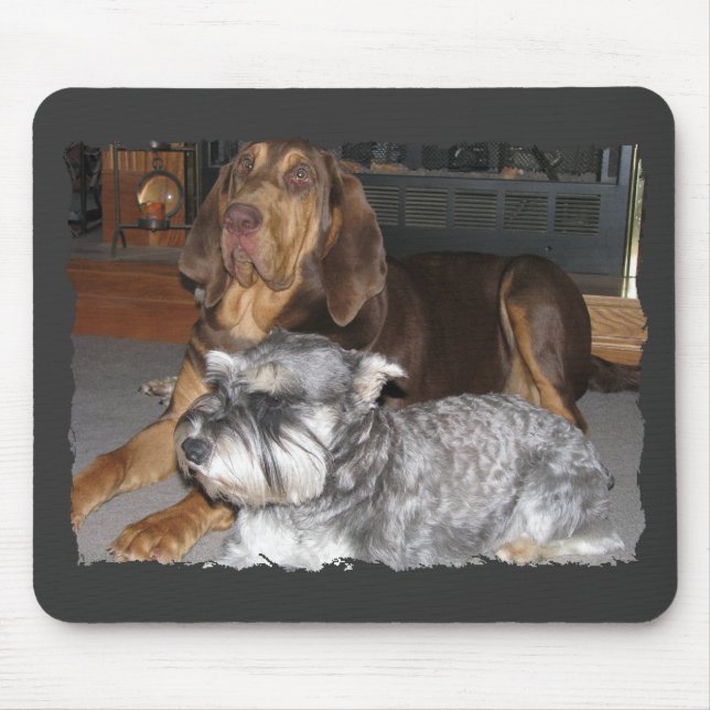 Bloodhound e schnauzer diminuto Mousepad (Frente)