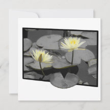 Bloom além da placa plana de quadro