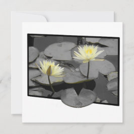 Bloom além da placa plana de quadro