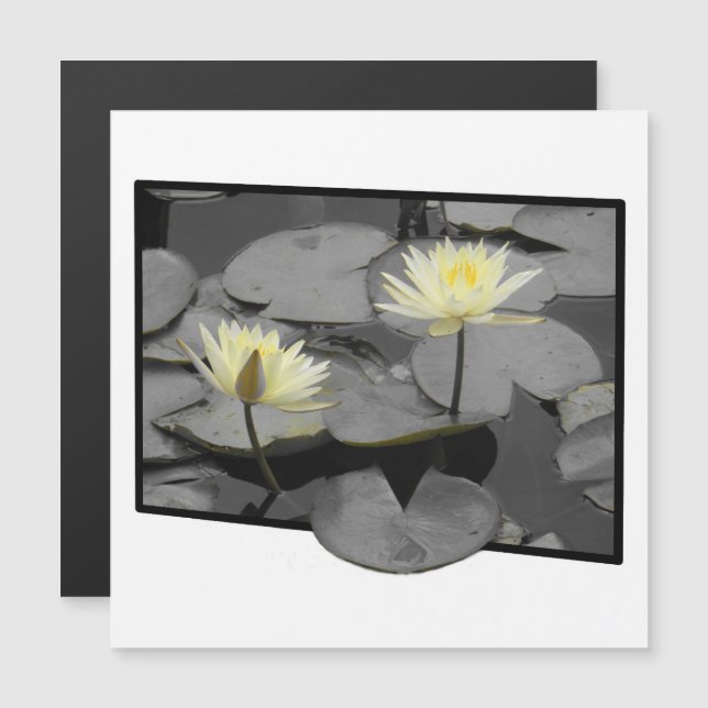 Bloom além do Quadro Magnético (Frente/Verso)