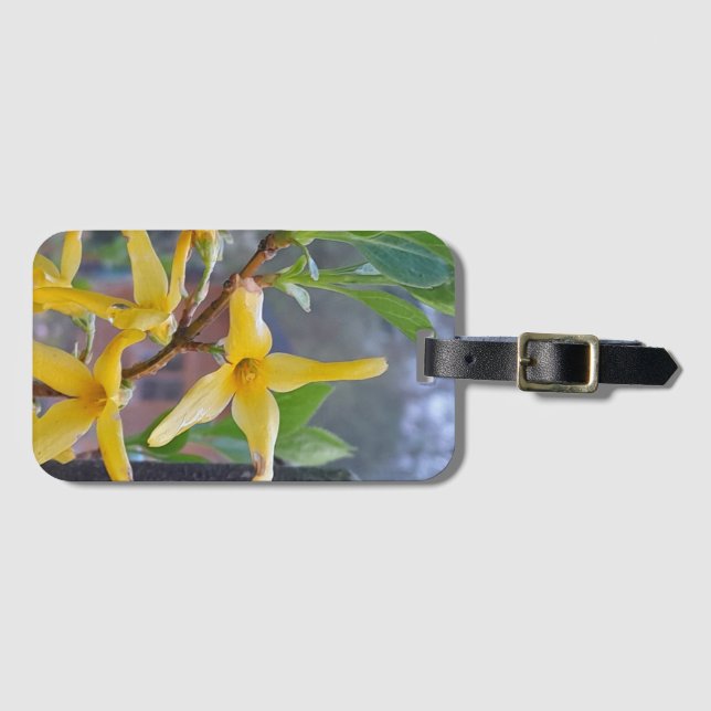 Bloom de ouro: Etiqueta de Bagagem do Forsythia Fl (Frente Horizontal)