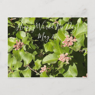 BloomingCalifornia: Bee Envolvido! Cartão Postal