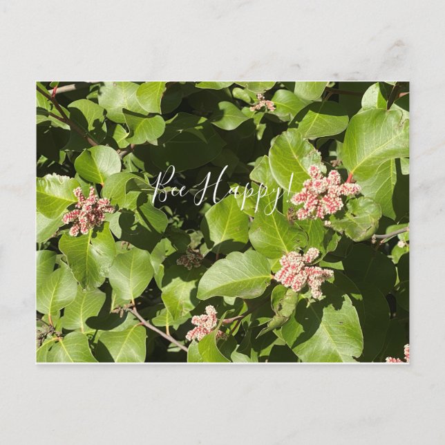 BloomingCalifornia: Bee Happy! Cartão Postal (Frente)