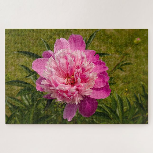 Blossom Reverie – Quebra-Cabeça de Jardim com 1014 (Horizontal)