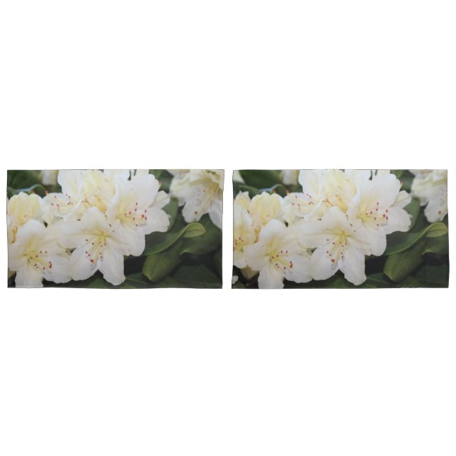 Blossom Shams (Frente - conjunto)