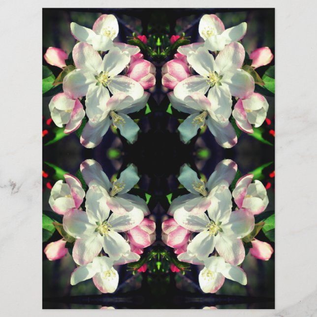 Blossomas de Blossomas de Caranguejo Bastão (Frente)