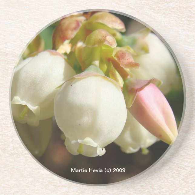 Blossomas de mirtilo - Porta copos (Frente)