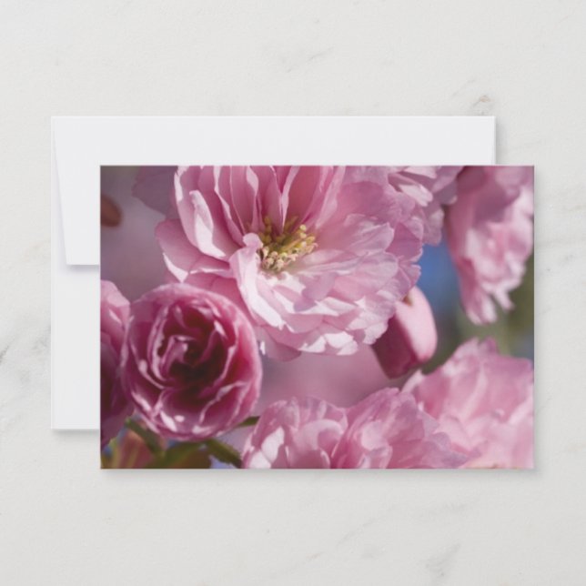 Blossomas Rosa (Frente)