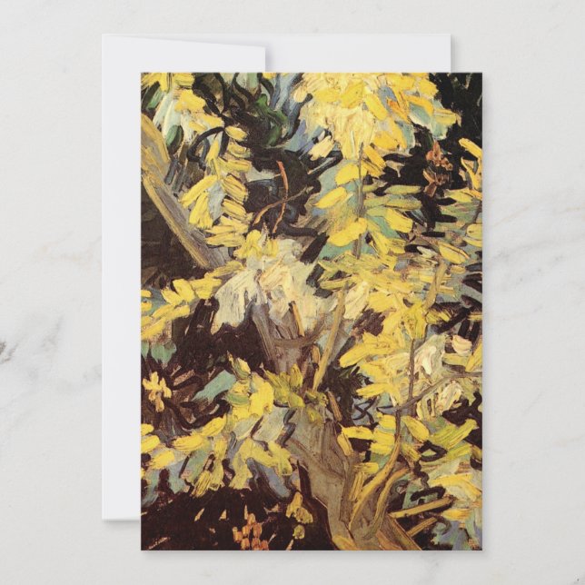 Blossoming Acacia Branches por Vincent van Gogh (Frente)