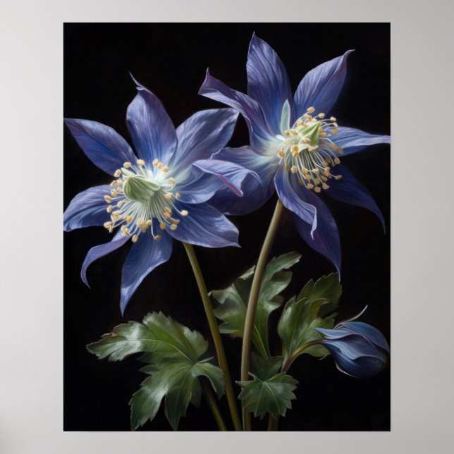 Blue Columbine Flowers Art Impressão Poster (Frente)