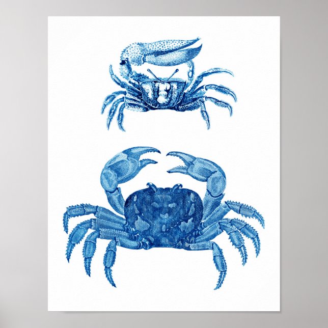 Blue Crabs Coastal Decor Art Impressão nº 3 (Frente)