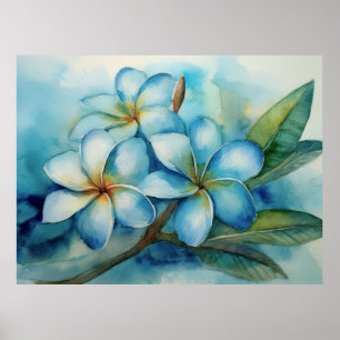 Blue Hawaiian Plumeria Poster