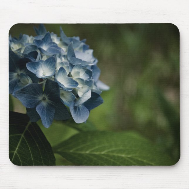 Blue Hydrangea 8519 Mousepad (Frente)