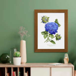 Blue Hydrangea Original Art Impressão
