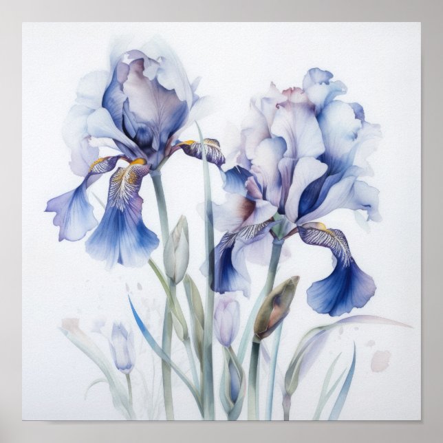 Blue Iriss Flower Art Impressão Poster (Frente)