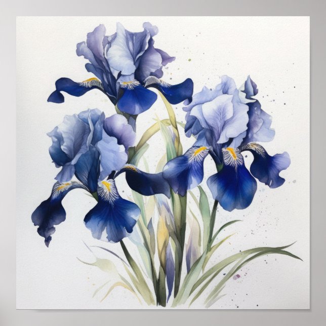 Blue Iriss Flower Art Impressão Poster (Frente)