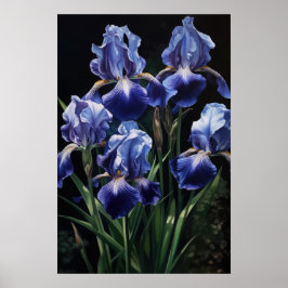Blue Iriss Flower Art Impressão Poster