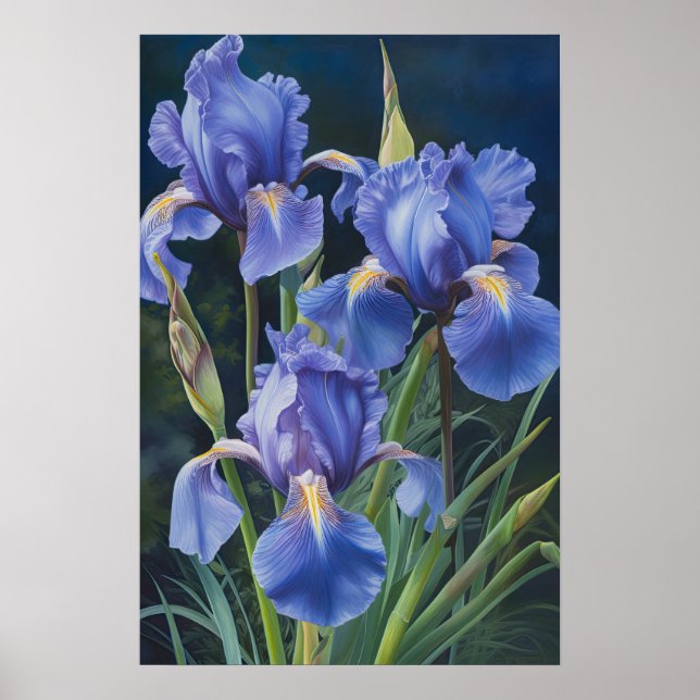 Blue Iriss Flower Art Impressão Poster (Frente)