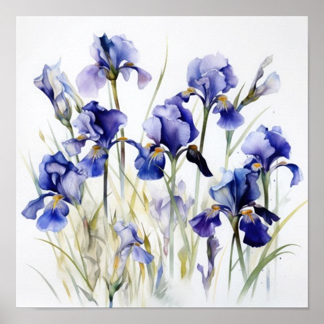 Blue Iriss Flower Art Impressão Poster (Frente)