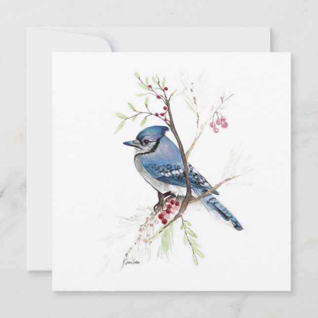 Blue Jay Bird Watercolor (Frente)
