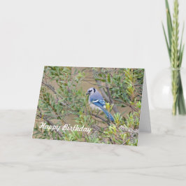 Blue Jay no cartão de aniversário da Myrtle Wax do