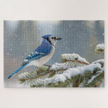 Blue Jay Snow Quebra-cabeça - Arte sobre aves de i