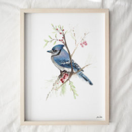 Blue Jay Songbird Watercolor Art Impressão