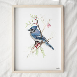 Blue Jay Songbird Watercolor Art Impressão