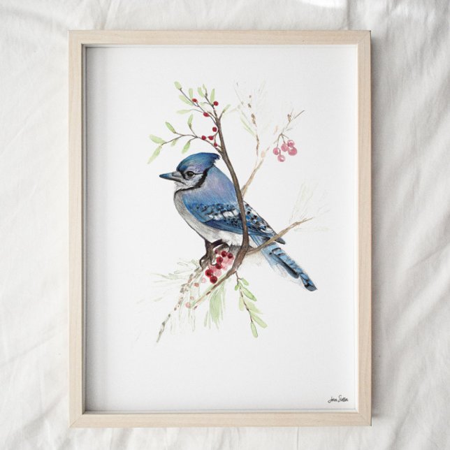 Blue Jay Songbird Watercolor Art Impressão (Criador carregado)