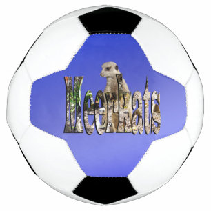Blue Meerkats, bola de futebol