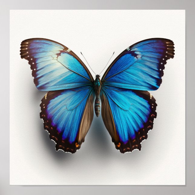 Blue Morpho Butterfly Art Impressão Poster (Frente)