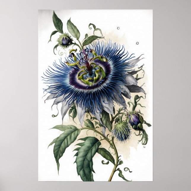 Blue Passion Flowers Art Impressão Poster (Frente)