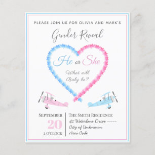 Blue Pink Heart Smoke Airplane Gender Reveal