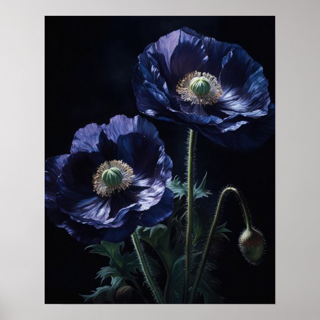 Blue Poppy Flowers Art Impressão (Frente)